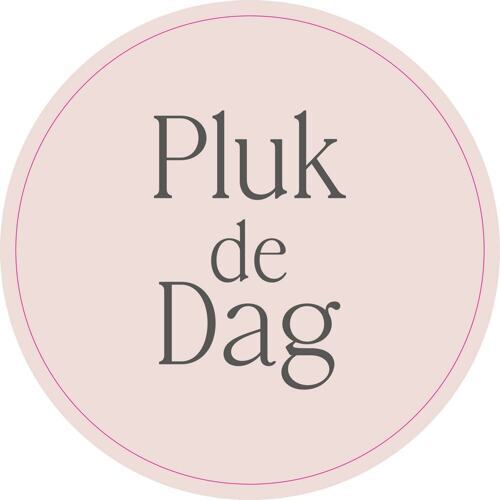 Pluk de Dag-30x30cm-02.pdf.jpg